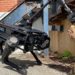 Hispanic lawmakers express “extreme concern” over border robot dog plan