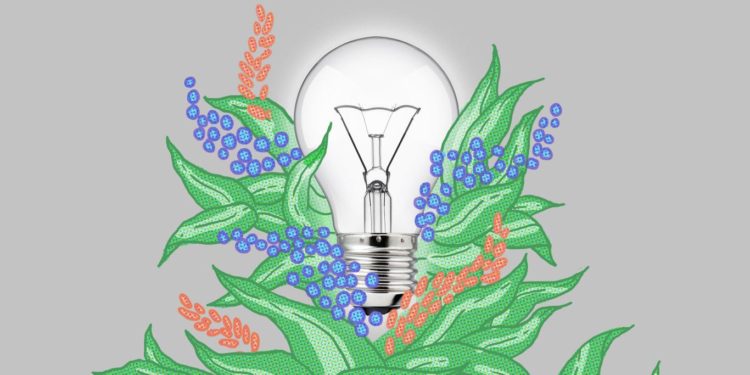 Saule Omarova’s plan for ‘public venture capital’