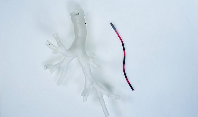 Engineers develop a ‘magnetic tentacle robot’ for lung operations