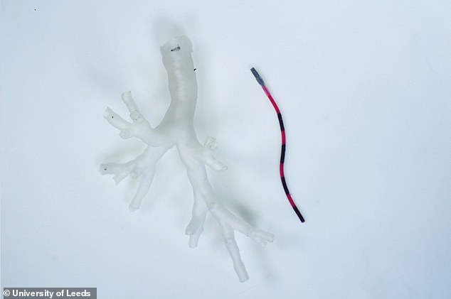 Engineers develop a ‘magnetic tentacle robot’ for lung operations