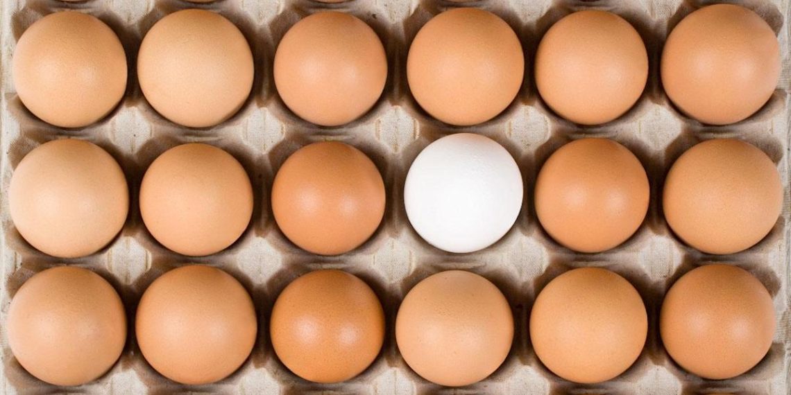 Will financial technology startups dodge the venture slowdown?