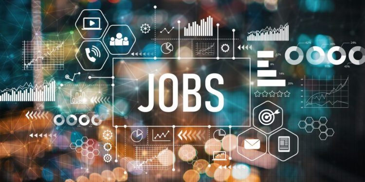 Three brilliant jobs you can apply for right now
