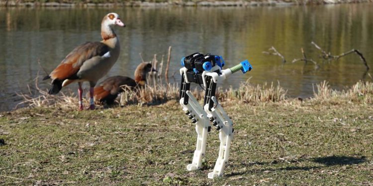 Bird-leg inspired robotics are more energy efficient