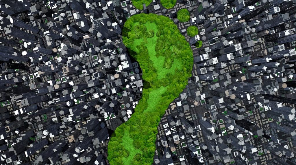 Can carbon coins help reduce your carbon footprint?