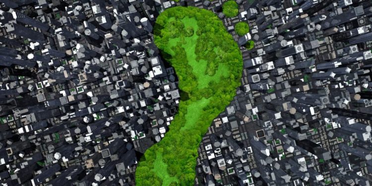 Can carbon coins help reduce your carbon footprint?