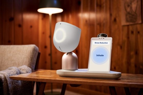 The ElliQ eldercare robot is finally available – TechCrunch