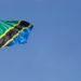 Today in FinTech: Flutterwave Enters Tanzania