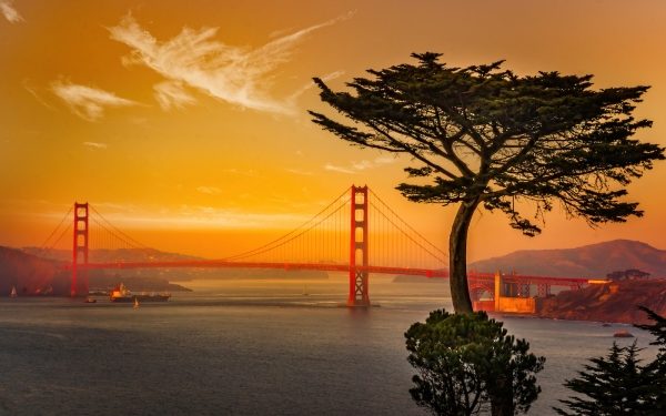 Box unfolds a surprise, robotics pitch tips, BNPL growing pains – TechCrunch