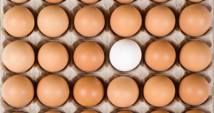 Will financial technology startups dodge the venture slowdown? – TechCrunch