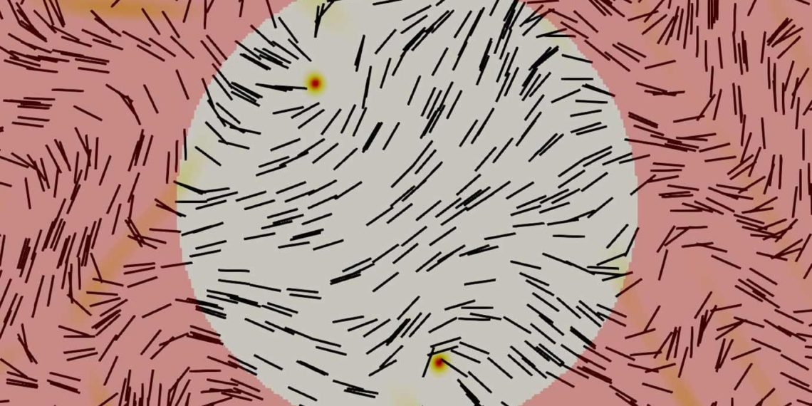 Molecular Engineers Show How To Make “Computer” Out of Liquid Crystals