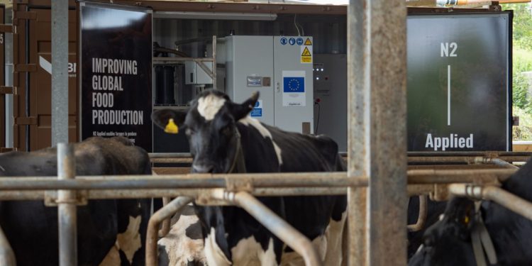 Fertiliser startups look to seaweed and urine as crisis looms