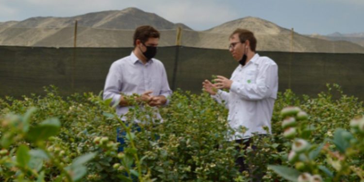 AgTech Adds Certainty to Unpredictable Industry