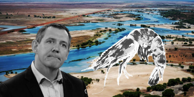 NT Project Sea Dragon prawn farm venture put off three years due to ‘unacceptable risk’