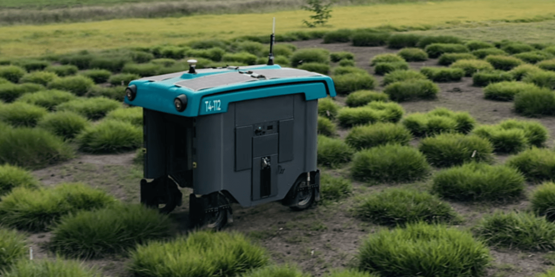 Meet Don Roverto, X’s Robotic Rover on the Hunt for The Next Magic Bean to Feed a Hungry Planet