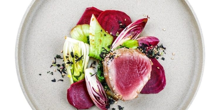 Israeli food tech startup teams up with Tufts University for cell-cultivated fish