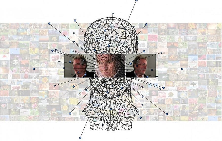 Researchers Look To Neuroscientists to Overcome Dataset Bias