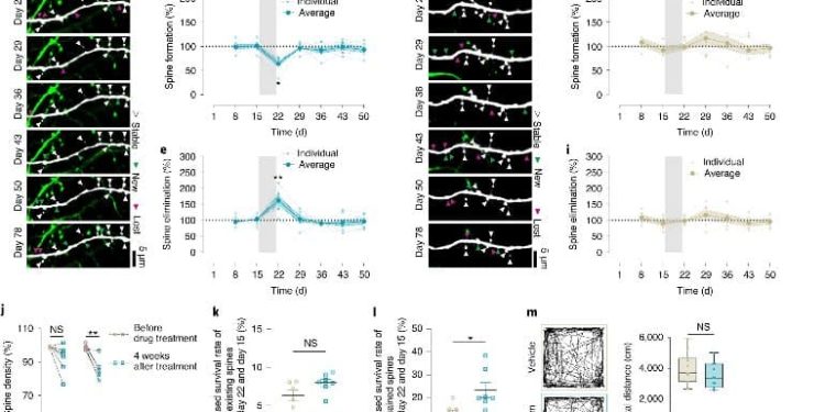 How Long-Term Benzodiazepine Use Leads to Cognitive Impairments