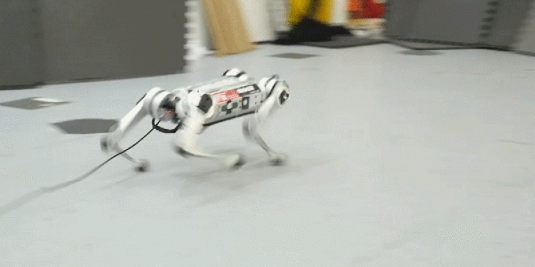 MIT’s Robotic Cheetah Taught Itself How to Run, Sets New Speed Record