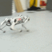 MIT’s Robotic Cheetah Taught Itself How to Run, Sets New Speed Record