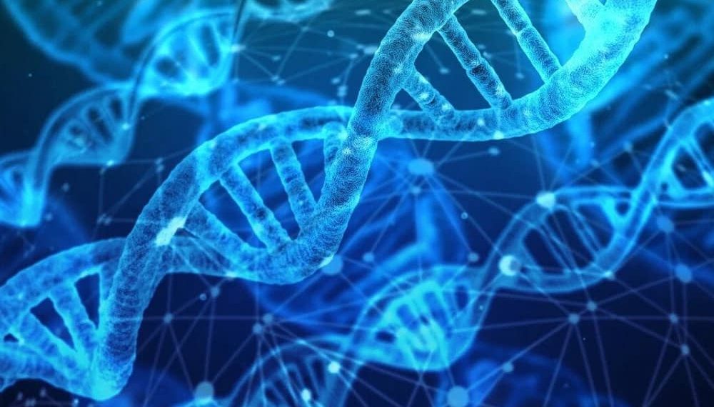 Research Suggests Relationship Between Computer Chips and Gene Synthesis