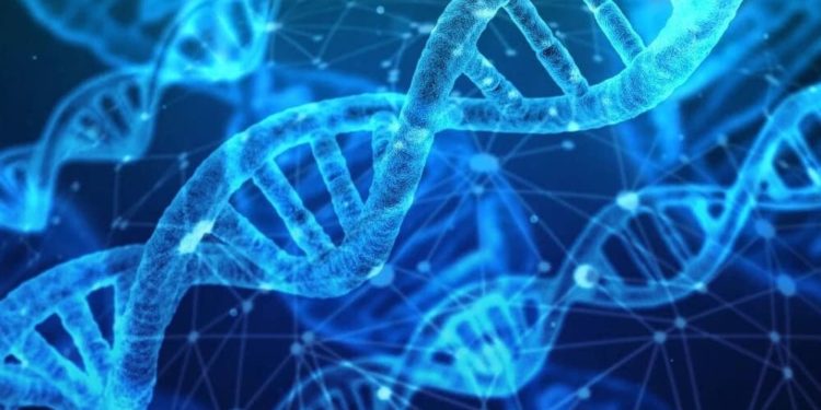 Research Suggests Relationship Between Computer Chips and Gene Synthesis
