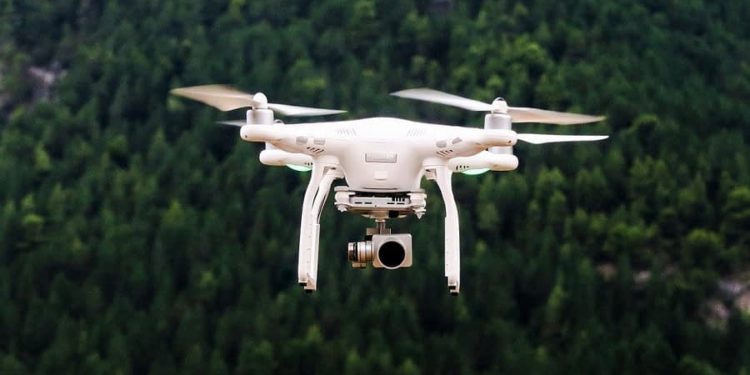 Researchers Reverse-Engineer Hoverflies’ Visual Systems to Detect Drones