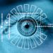Five ID verification predictions for 2022