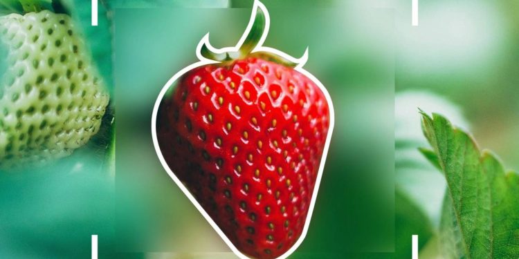 Training an AI system is time consuming, but this startup says it has a solution