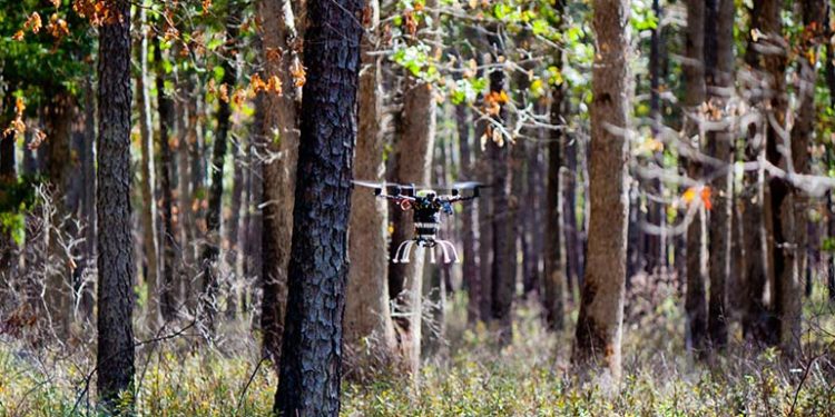 Treeswift clears $4.8 million for forestry drones