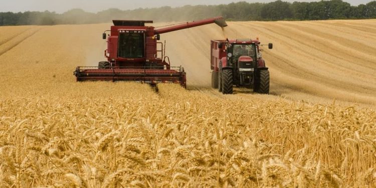 New Risk Analysis Warns of Dangers of AI Agriculture