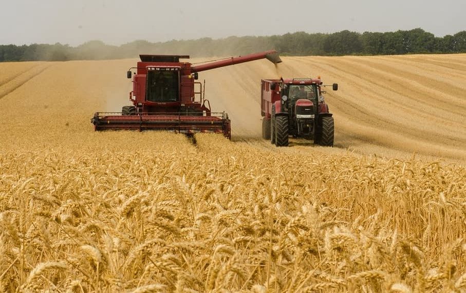 New Risk Analysis Warns of Dangers of AI Agriculture