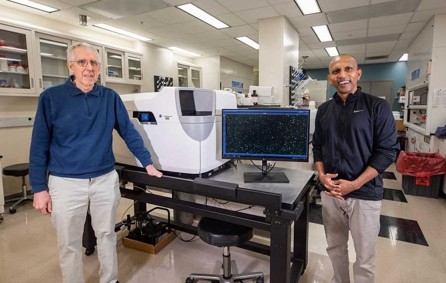 Diverse Team of Experts Develop Defense System for Neural Networks