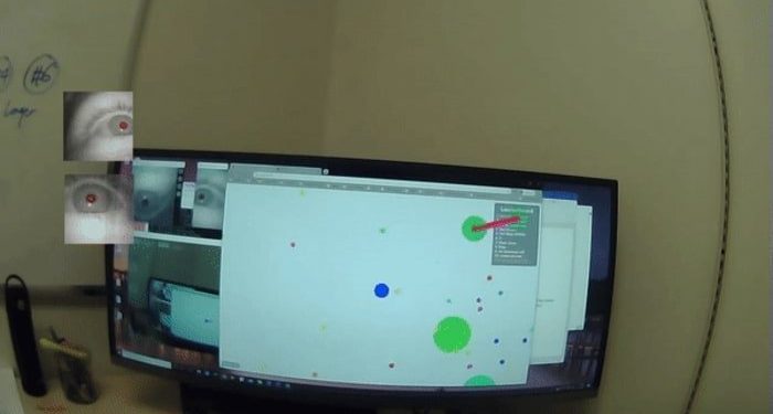 Simulated Human Eye Movement Aims to Train Metaverse Platforms