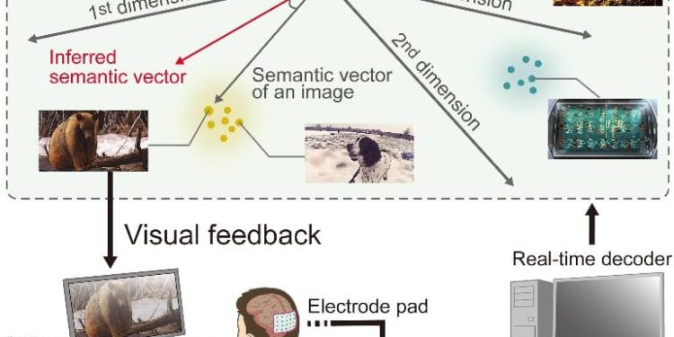 Scientists See What People Picture in Their Mind’s Eye