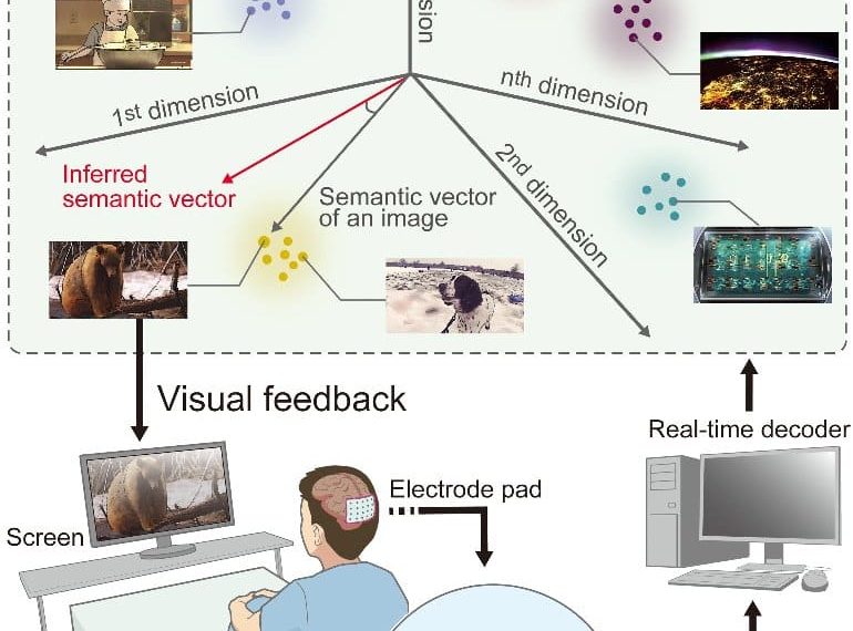 Scientists See What People Picture in Their Mind’s Eye