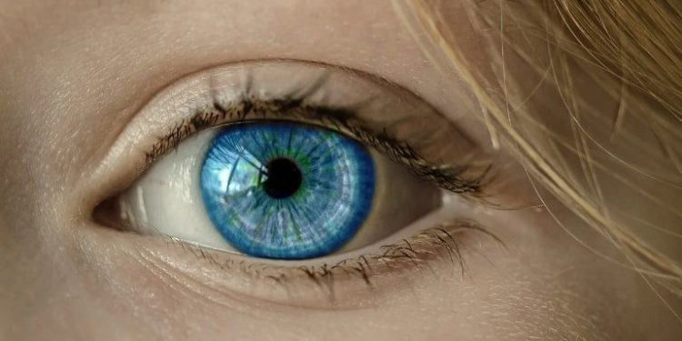 Is Seeing Believing? How Neural Oscillations Influence Our Conscious Experience