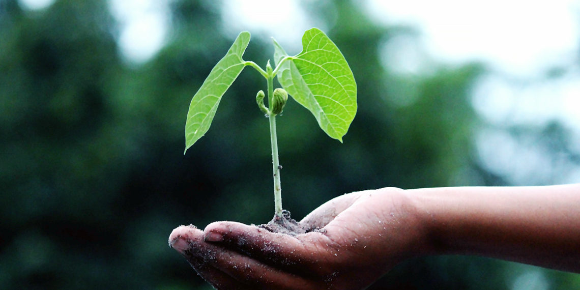 Fintech sparking the global Net-Zero revolution