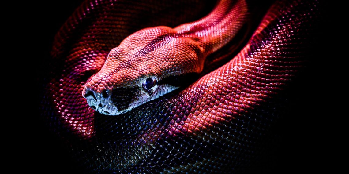 Attackers employ novel methods to backdoor French organizations