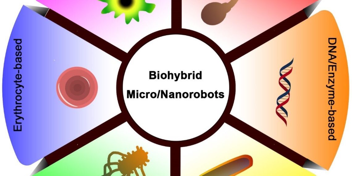 Tiny biohybrid robots for intelligent drug delivery