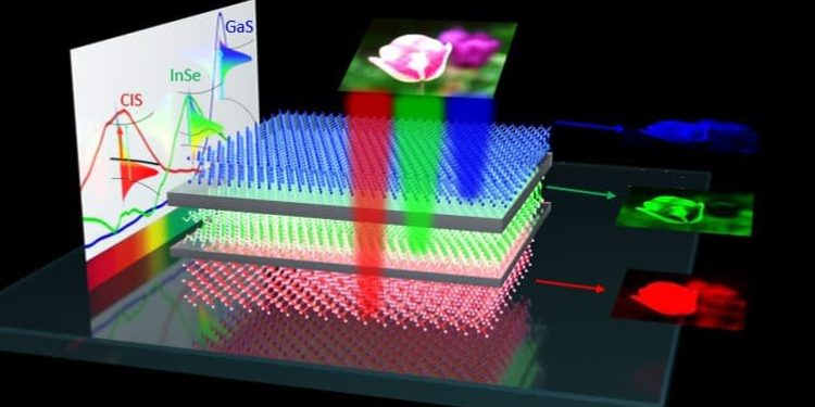 Scientists Design Artificial Vision Device