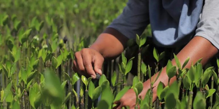 Fintech Company Thunes partners with Handprint to drive sustainability