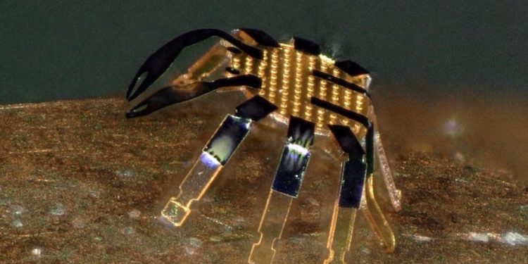 Engineers Develop Smallest-Ever Remote-Controlled Walking Robot