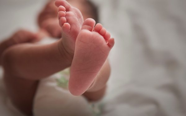 Fertility startup Hannah Life Technologies gets $5.15M Pre-Series A – TechCrunch