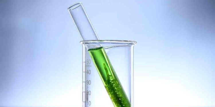 Researchers Power Microprocessor With Algae, Light, and Water