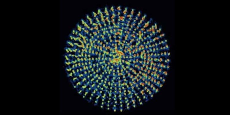 Researchers Create Self-Propelled Artificial Cilia