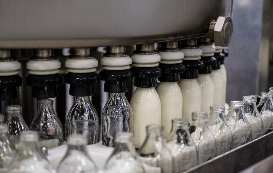 Saudi VC KBW Ventures invests in US plant-based dairy platform