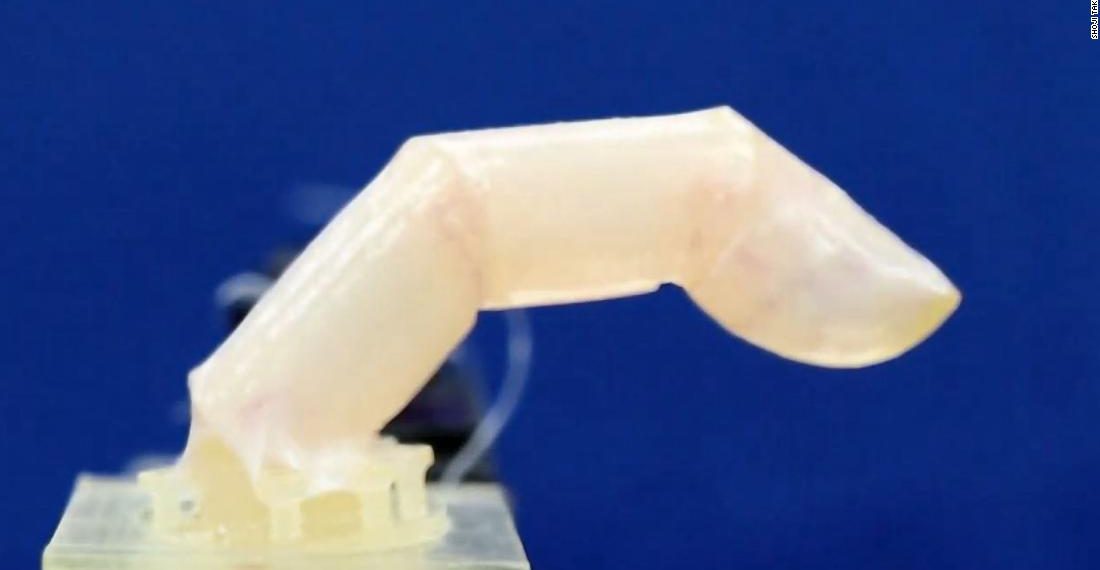 A robotic finger was built with living humanlike skin