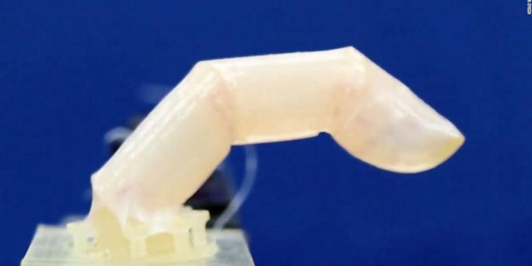 A robotic finger was built with living humanlike skin