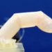 A robotic finger was built with living humanlike skin
