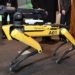 Robotic dog from Boston Dynamics to help clean up mines in Ukraine